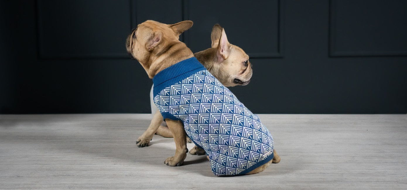 Kläder för Hund och Katt