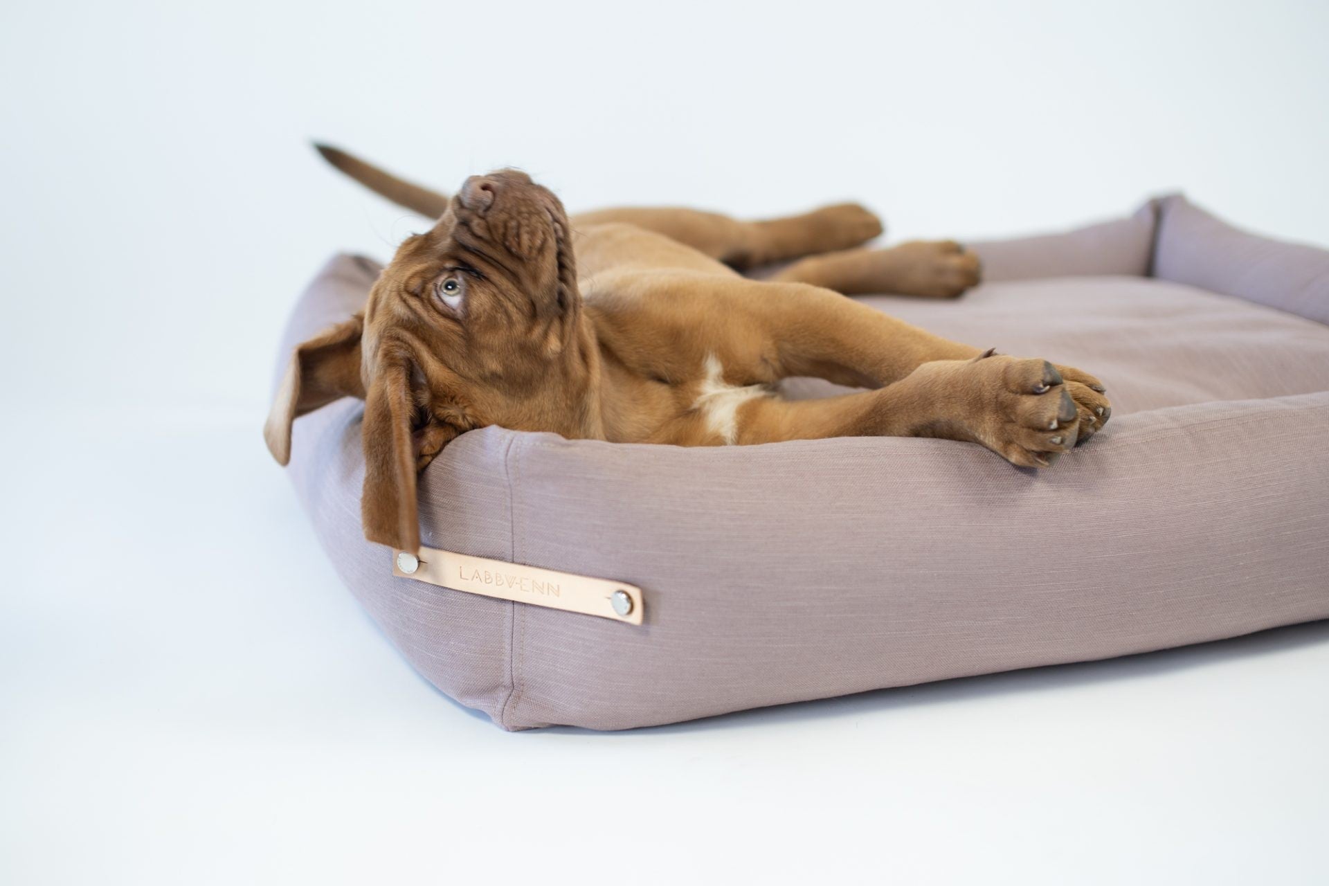 Sängar för Hund - Organic Lifestyle