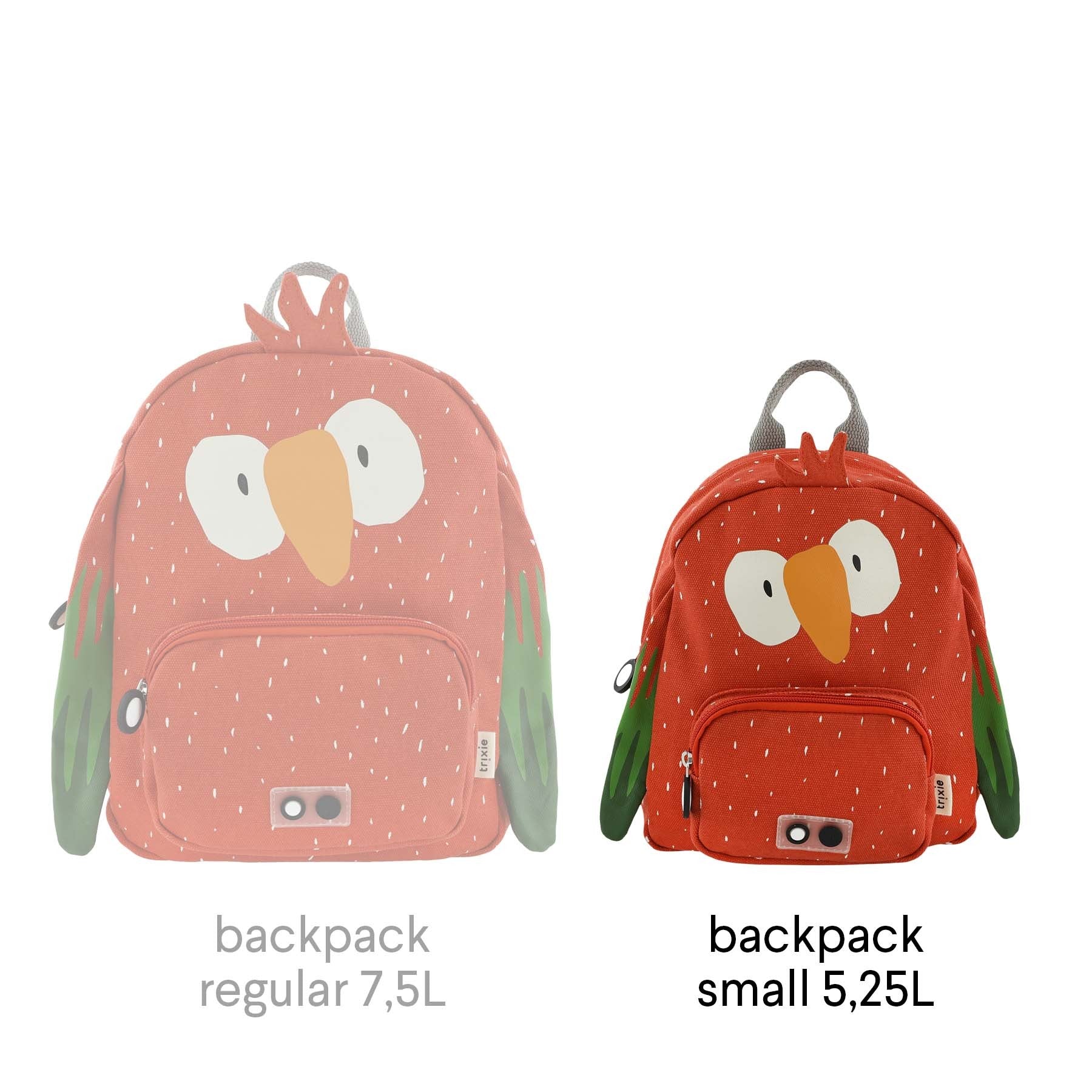 Backpack - Mr. Parrot