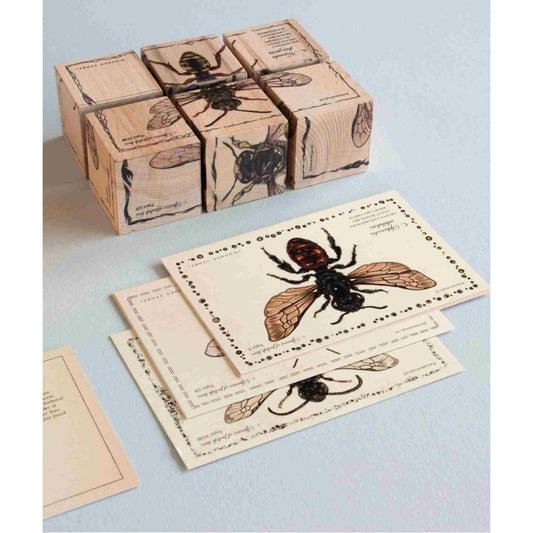 Wooden Blocks Bee Life - Species