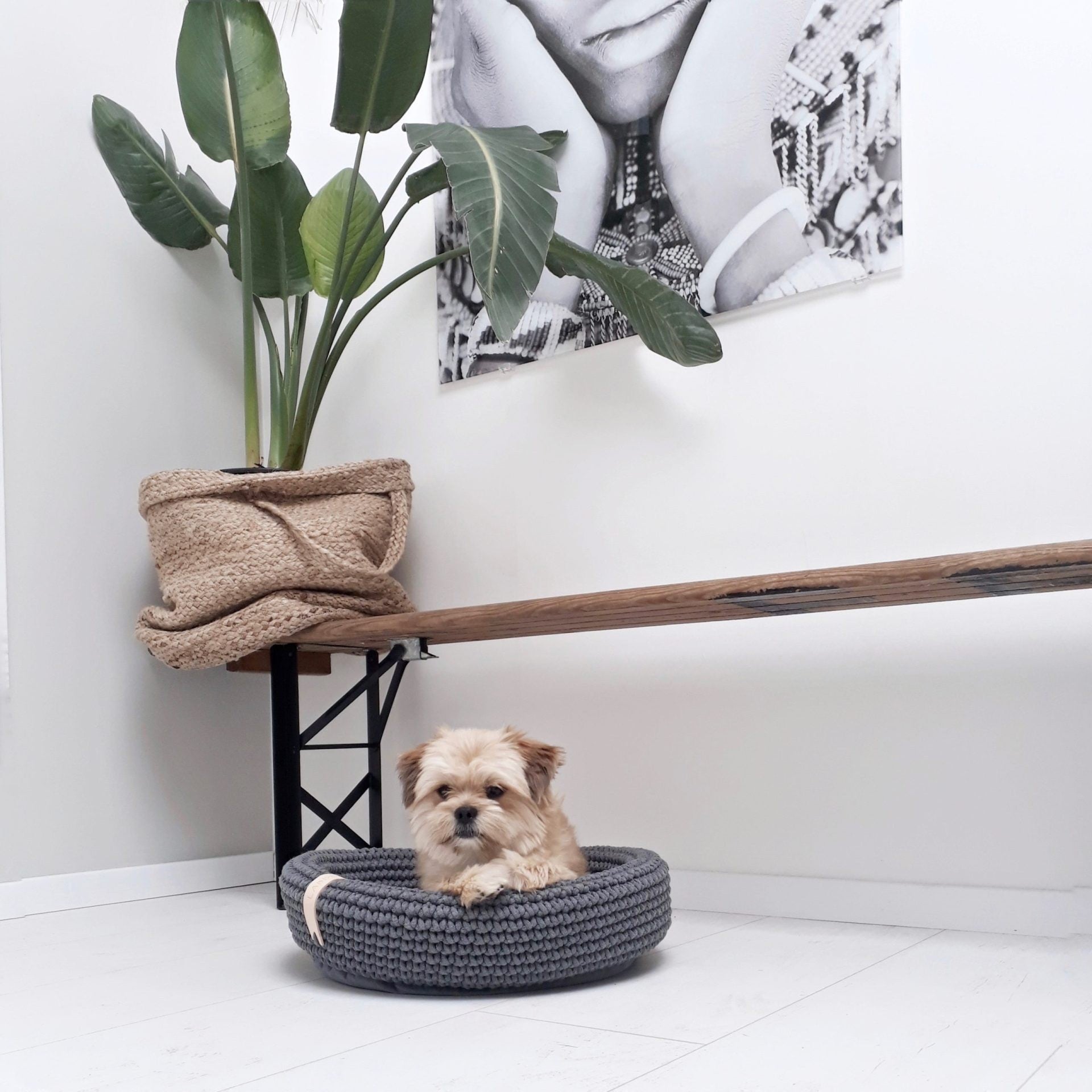 Coco Dog/Cat Bed - Anthracite - Organic LifestyleCoco Dog/Cat Bed - AnthraciteCoco Dog/Cat Bed - Anthracite LabbvennOrganic Lifestyle5907614620677