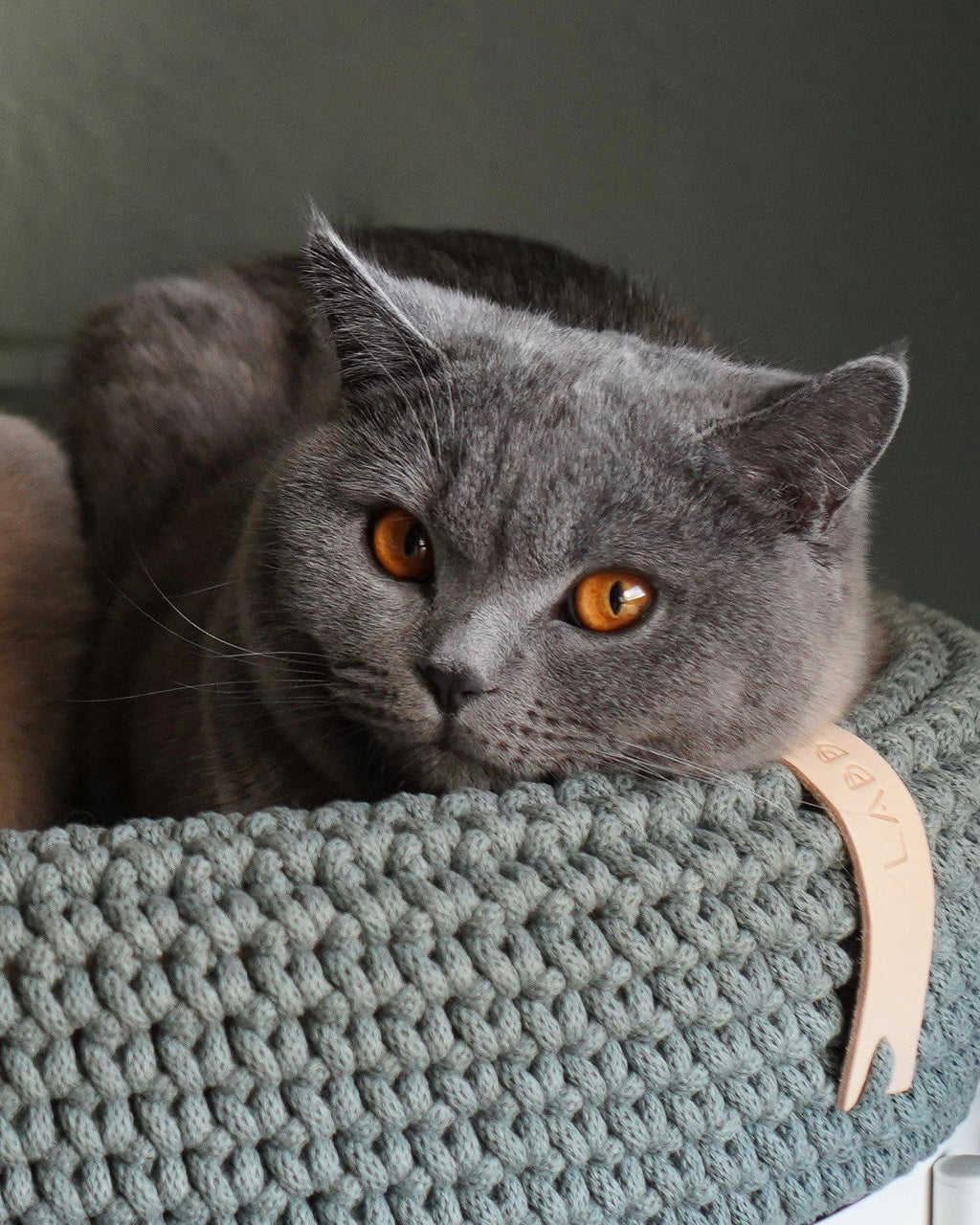 Coco Dog/Cat Bed - Green - Organic LifestyleCoco Dog/Cat Bed - GreenCoco Dog/Cat Bed - Green LabbvennOrganic Lifestyle5907614620653