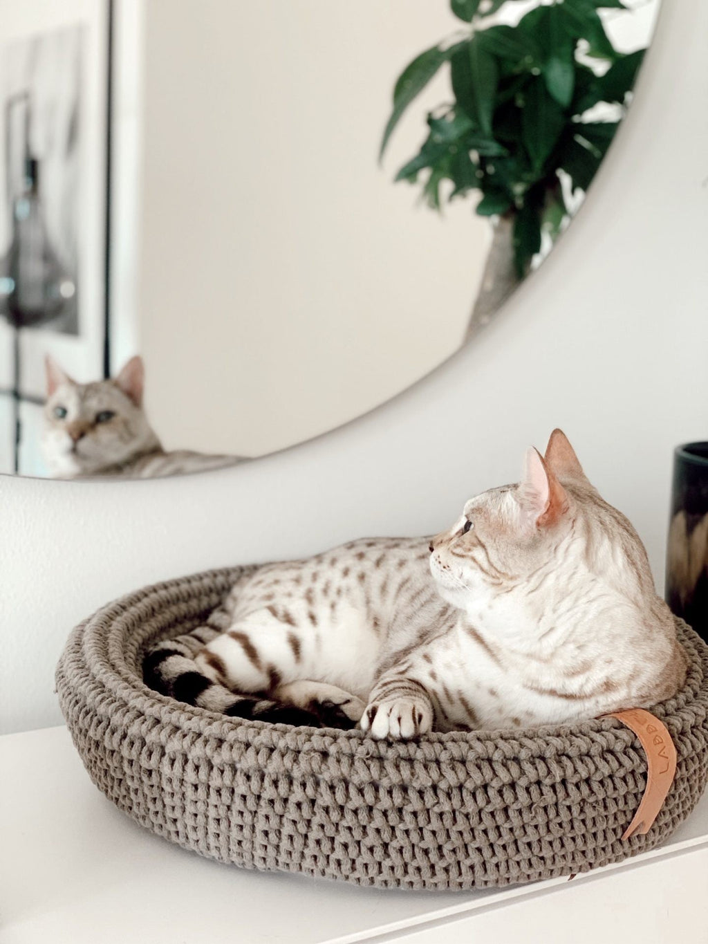 Coco Dog/Cat Bed - Light Brown - Organic LifestyleCoco Dog/Cat Bed - Light BrownCoco Dog/Cat Bed - Light Brown LabbvennOrganic Lifestyle5907614620660