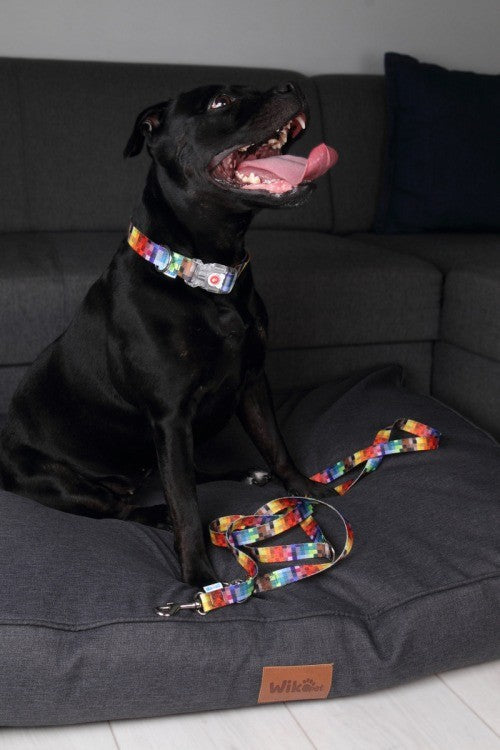 Collar With A LED Plastic Buckle  - Pixels