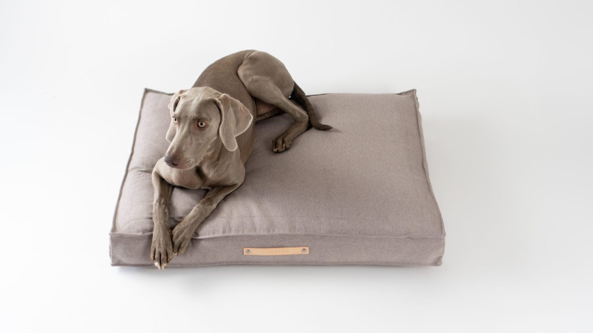 Ekologisk Kudde för Hund - Töve Cushion - Nut - Organic LifestyleEkologisk Kudde för Hund - Töve Cushion - NutTöve Cushion - Nut LabbvennOrganic Lifestyle5907694930376S