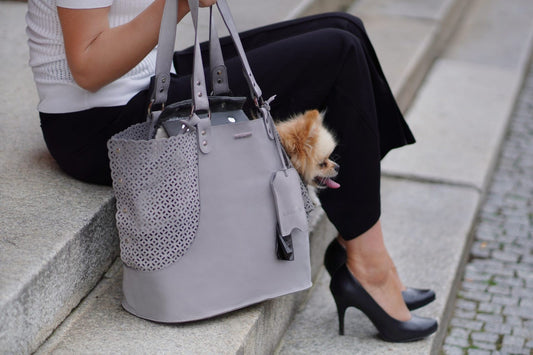 Elva - Hundbärväska & Personlig Väska - Ljusgrå - Organic LifestyleElva - Hundbärväska & Personlig Väska - LjusgråElva Dog Carrier & Personal Bag - Light Grey LabbvennOrganic Lifestyle5907614621193