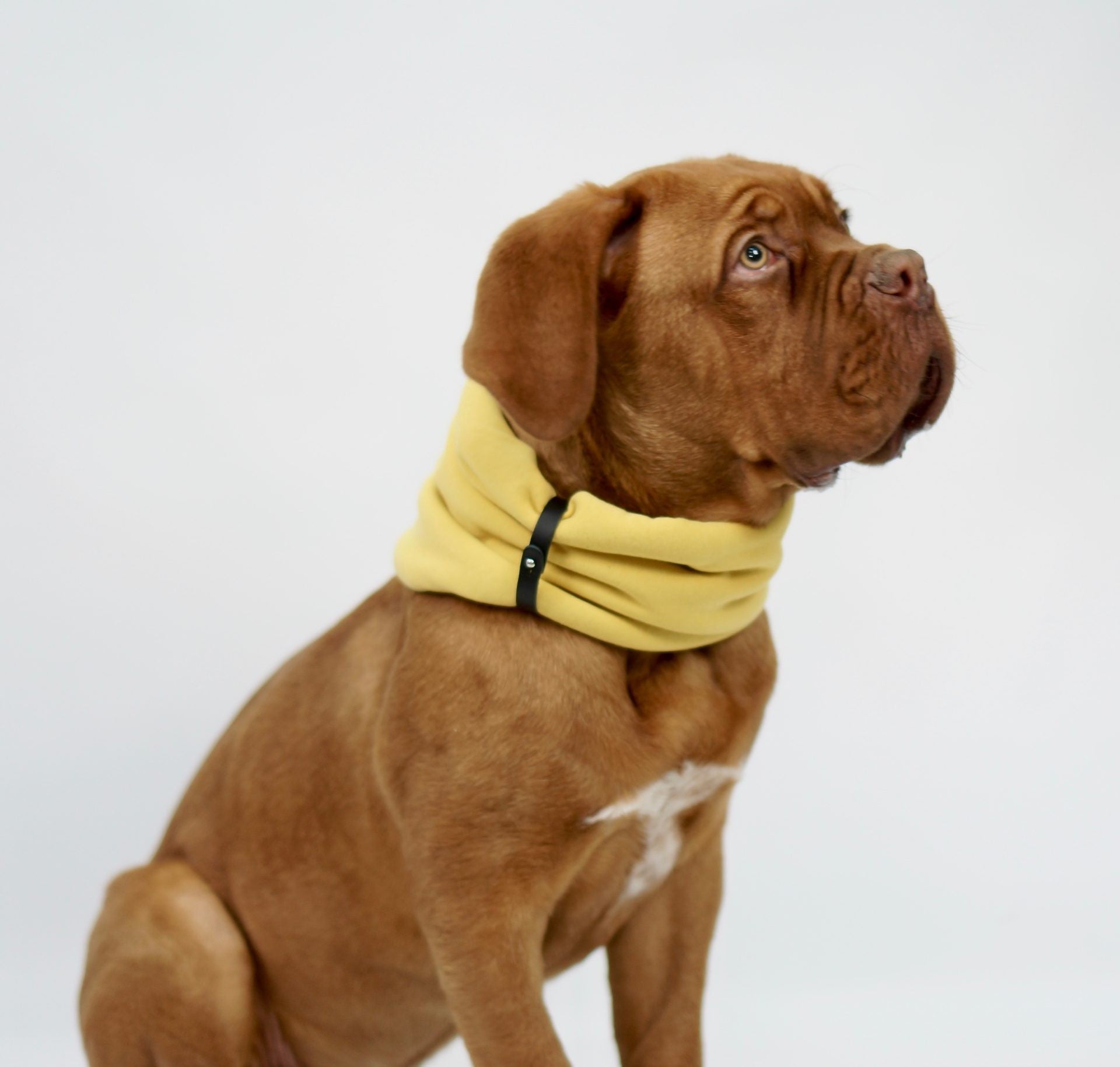 Inko Halsvärmare - Guld - Organic LifestyleInko Halsvärmare - GuldInko Neck Warmer - Gold LabbvennOrganic Lifestyle5907614620066S