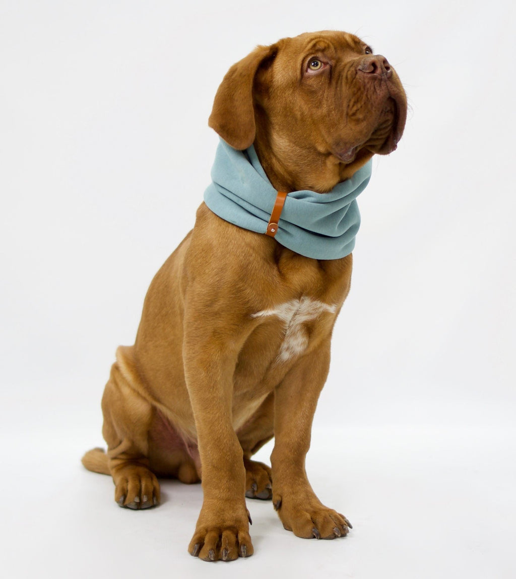 Inko Neck Warmer - Turquoise - Organic LifestyleInko Neck Warmer - TurquoiseInko Neck Warmer - Turquoise LabbvennOrganic Lifestyle5907614620097S