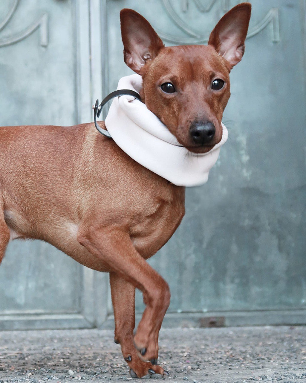 Inko Neck Warmer - White Sand - Organic LifestyleInko Neck Warmer - White SandInko Neck Warmer - White Sand LabbvennOrganic Lifestyle5907614620158S