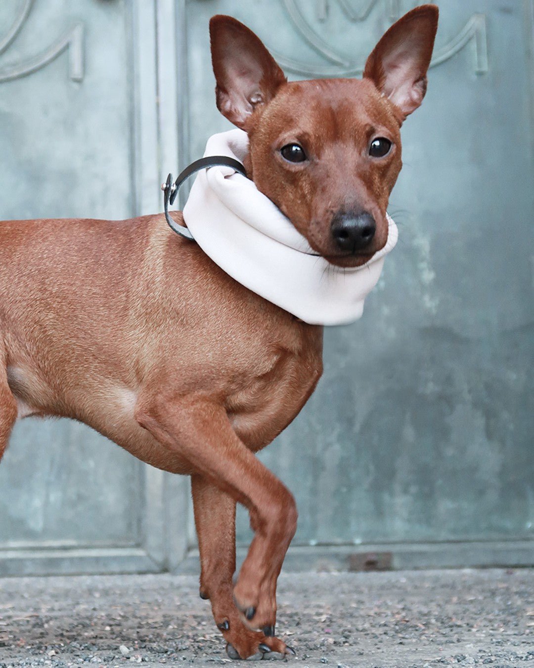 Inko Neck Warmer - White Sand - Organic LifestyleInko Neck Warmer - White SandInko Neck Warmer - White Sand LabbvennOrganic Lifestyle5907614620158S