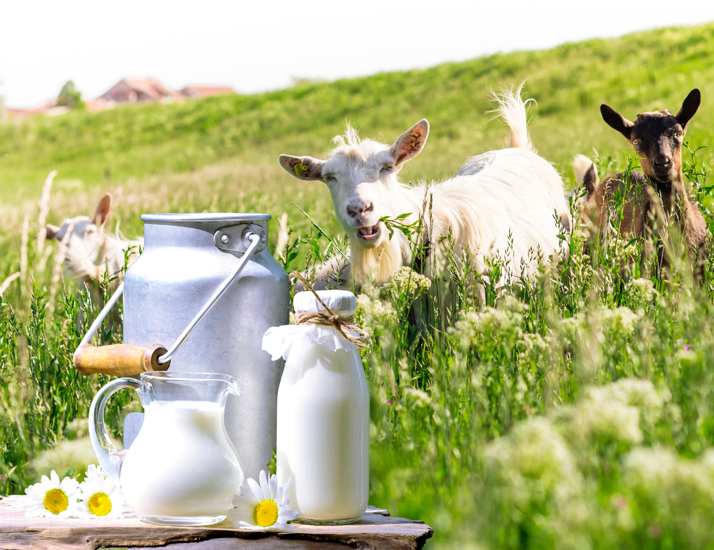 Jarsetvålen - Organic LifestyleJarsetvålenJarsetvålenJarsetvålOrganic LifestyleJAR-140