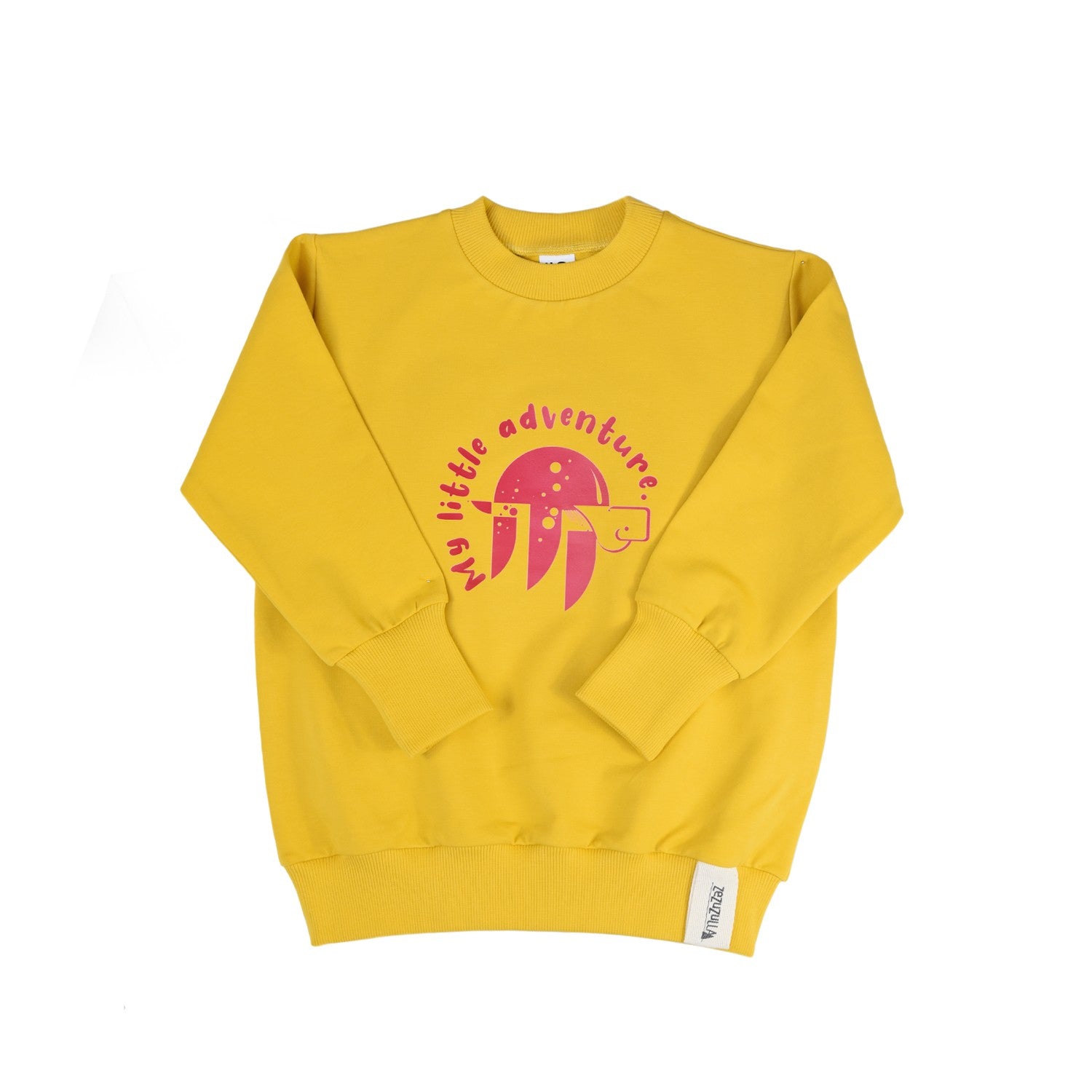 Kids Sweatshirt - Turtle Adventure