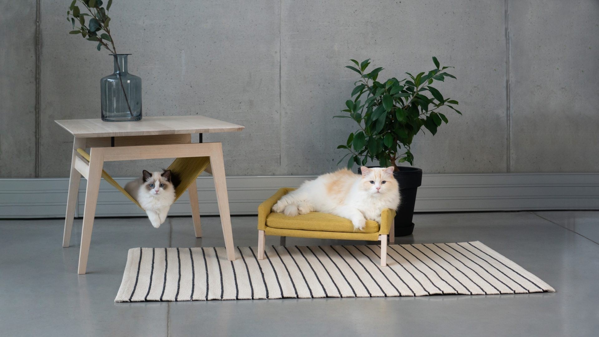 Kikko Table & Lulu Bed for Cat - Honey - Organic LifestyleKikko Table & Lulu Bed for Cat - HoneyKikko Table & Lulu Bed for Cat - Honey LabbvennOrganic Lifestyle5907614620516