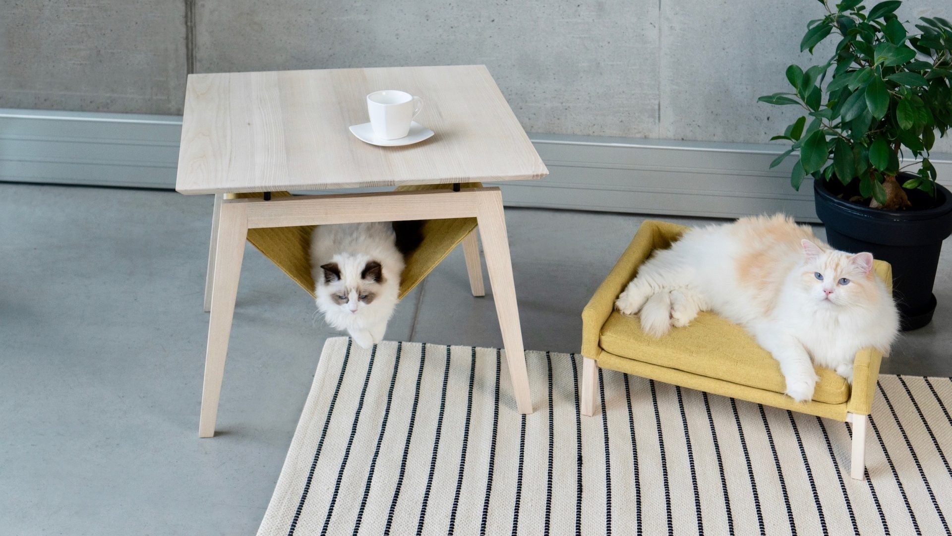 Kikko Table & Lulu Bed for Cat - Honey - Organic LifestyleKikko Table & Lulu Bed for Cat - HoneyKikko Table & Lulu Bed for Cat - Honey LabbvennOrganic Lifestyle5907614620516