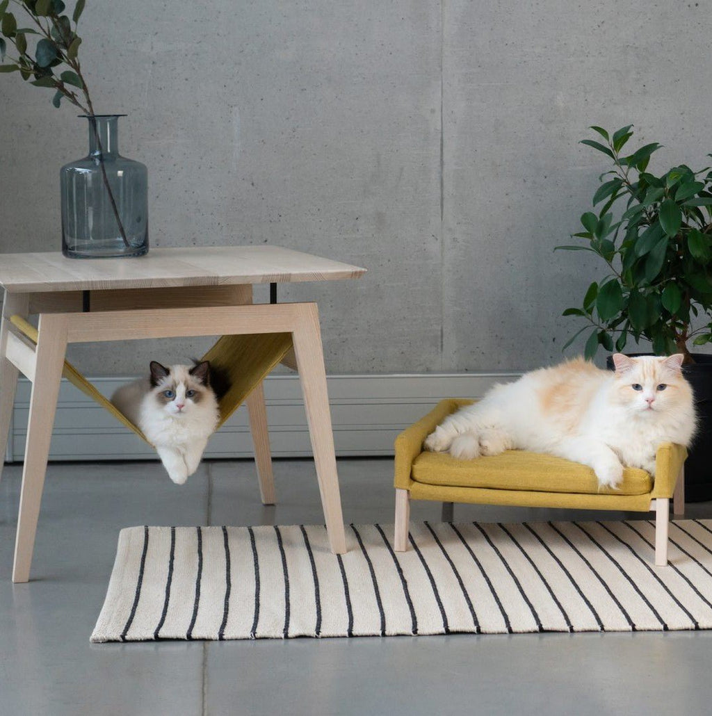 Kikko Table & Lulu Bed for Cat - Honey - Organic LifestyleKikko Table & Lulu Bed for Cat - HoneyKikko Table & Lulu Bed for Cat - Honey LabbvennOrganic Lifestyle5907614620516