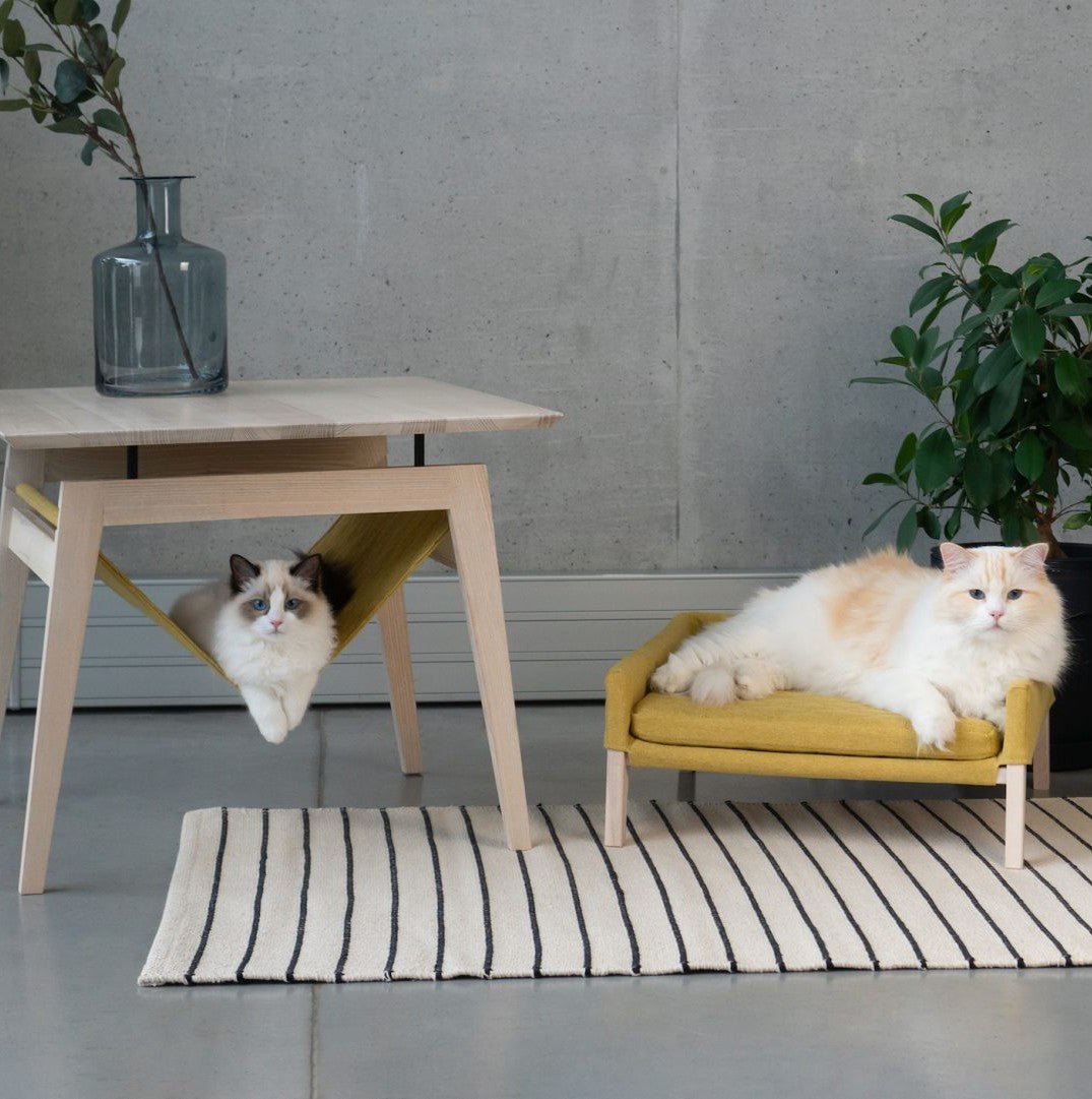 Kikko Table & Lulu Bed for Cat - Honey - Organic LifestyleKikko Table & Lulu Bed for Cat - HoneyKikko Table & Lulu Bed for Cat - Honey LabbvennOrganic Lifestyle5907614620516