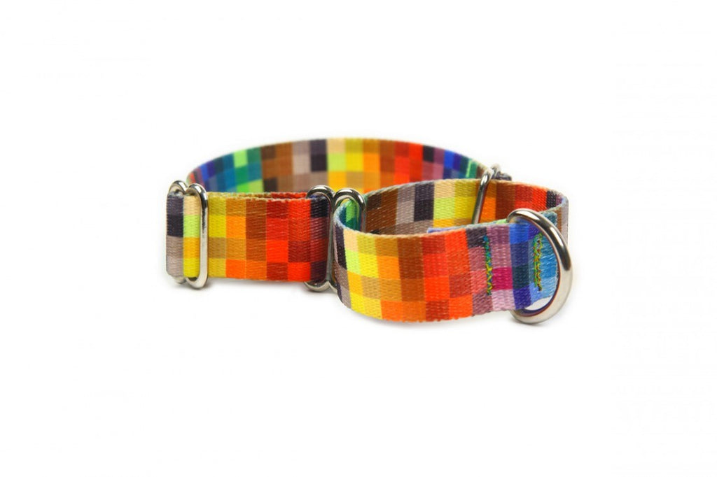 Martingale Collar - Pixels