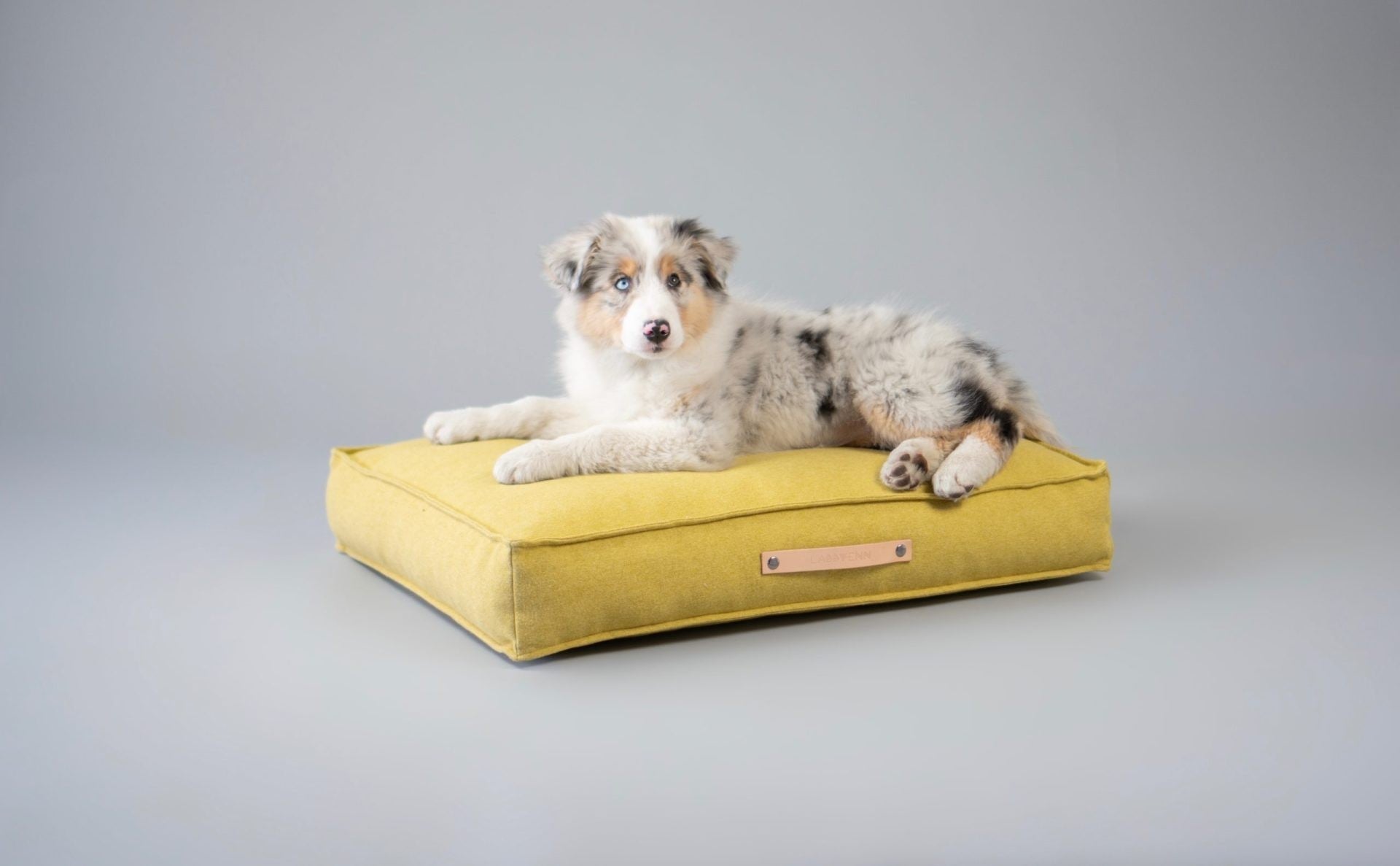 Møvik Cushion - Honey - Organic LifestyleMøvik Cushion - HoneyMøvik Cushion - Honey LabbvennOrganic Lifestyle5907694930123S