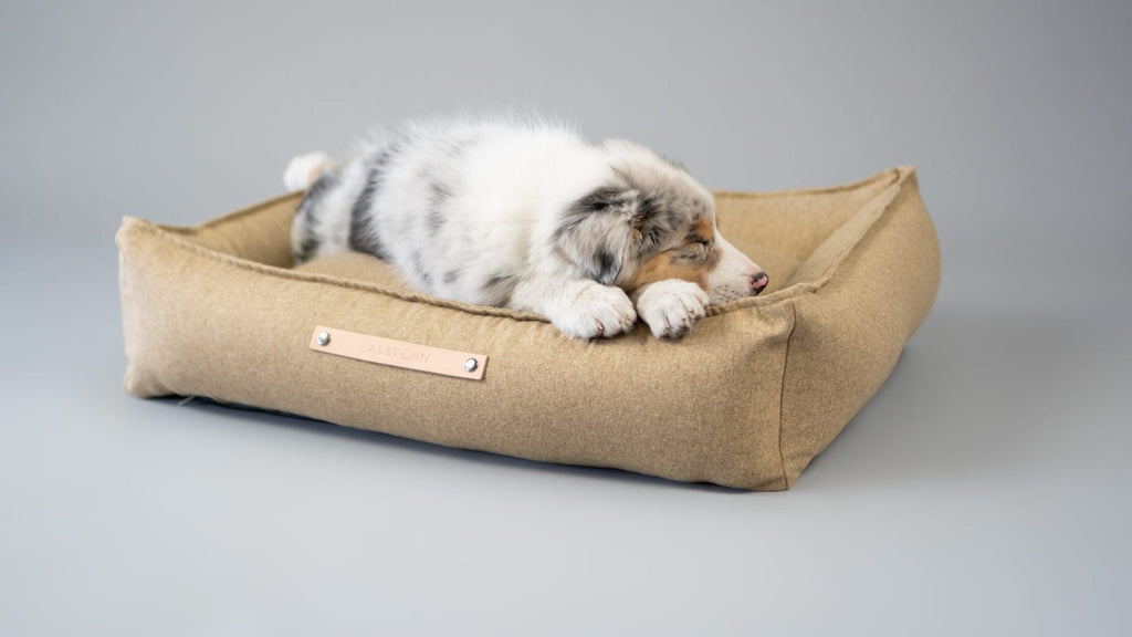 Møvik Dog Bed - Biscuit - Organic LifestyleMøvik Dog Bed - BiscuitMøvik Dog Bed - Biscuit LabbvennOrganic Lifestyle5907694930062S