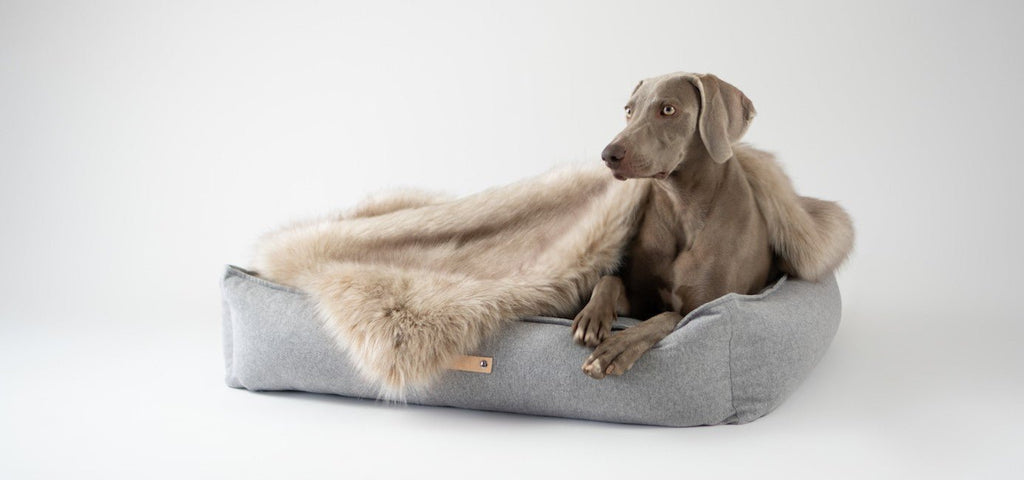 Møvik Dog Bed - Grey - Organic LifestyleMøvik Dog Bed - GreyMøvik Dog Bed - Grey LabbvennOrganic Lifestyle5907694930031S