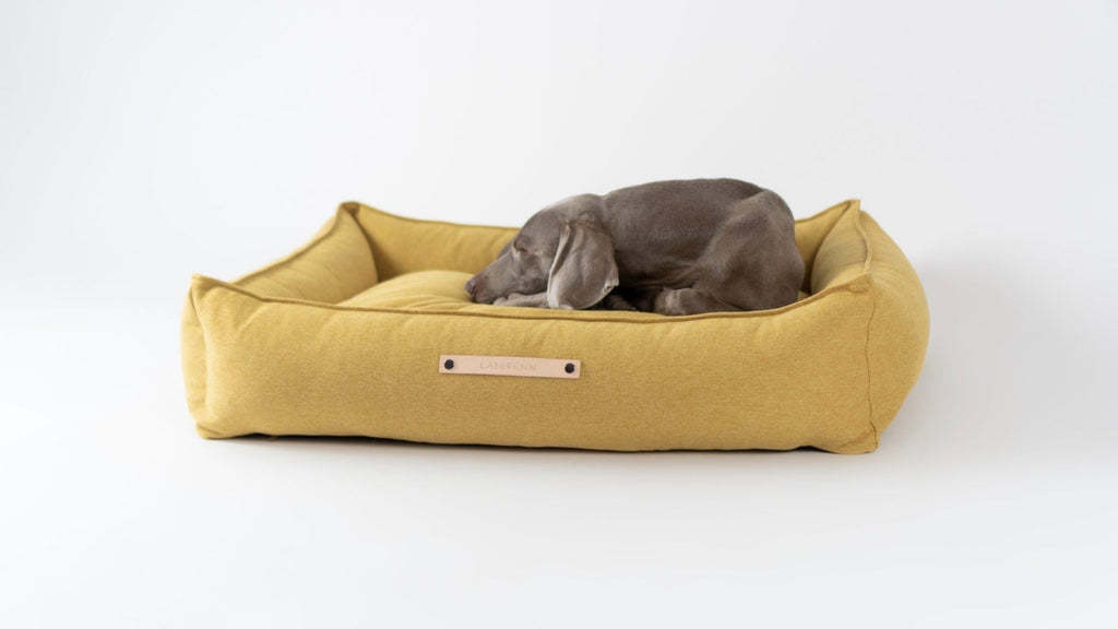 Møvik Dog Bed - Honey - Organic LifestyleMøvik Dog Bed - HoneyMøvik Dog Bed - Honey LabbvennOrganic Lifestyle5907694930000S