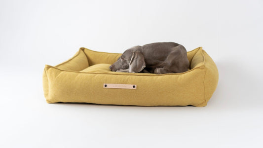 Møvik Dog Bed - Honey - Organic LifestyleMøvik Dog Bed - HoneyMøvik Dog Bed - Honey LabbvennOrganic Lifestyle5907694930000S
