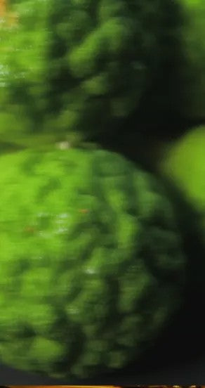 Perfume Oil - Original Sin, 10ml