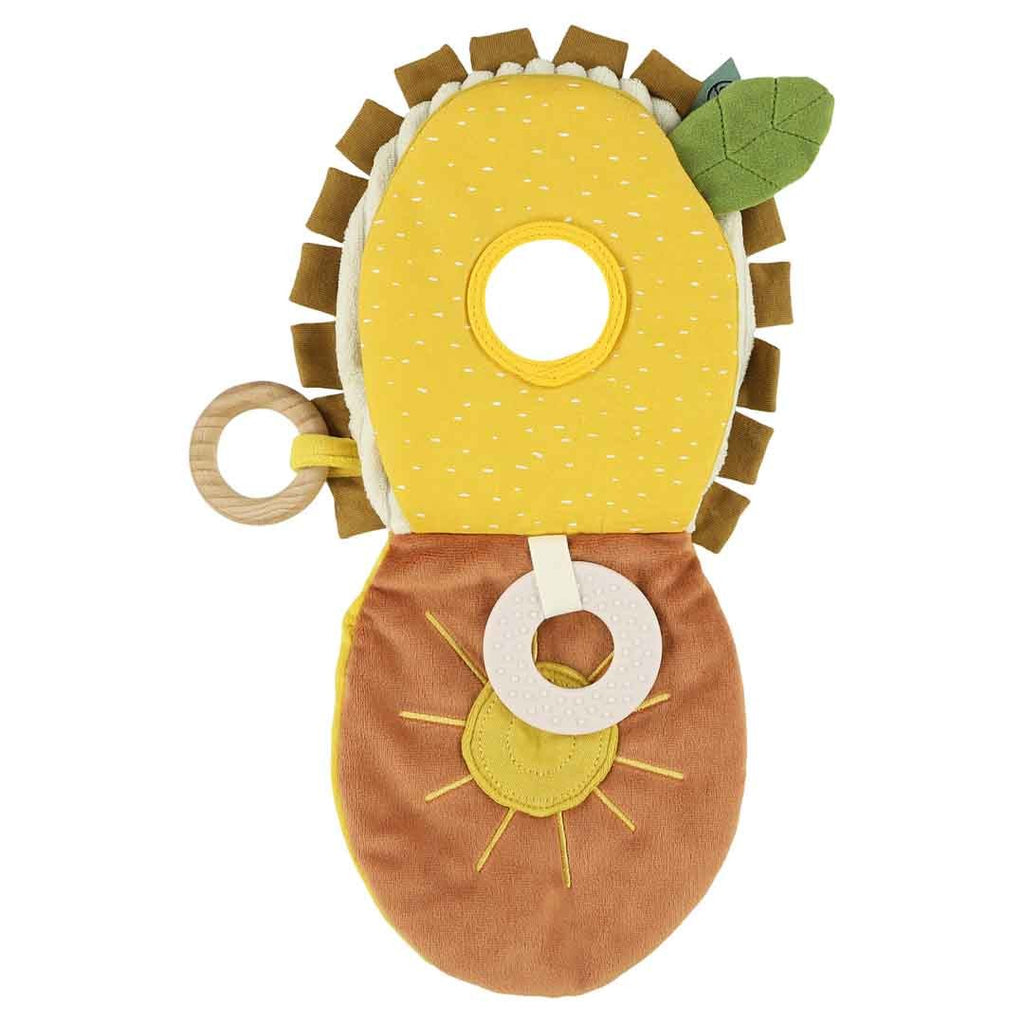 Sensory book - Mr. Lion