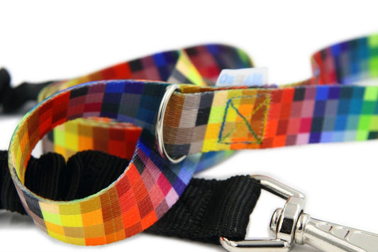Shock Absorbing Dog Leash - Pixels