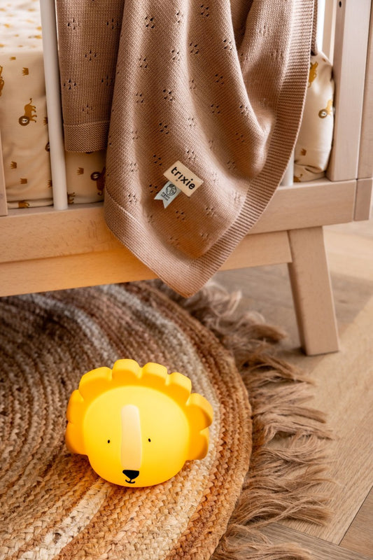 Silicone Night Light - Mr. Lion