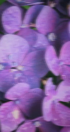 Spray Perfume - Incognito, 15ml, 50ml