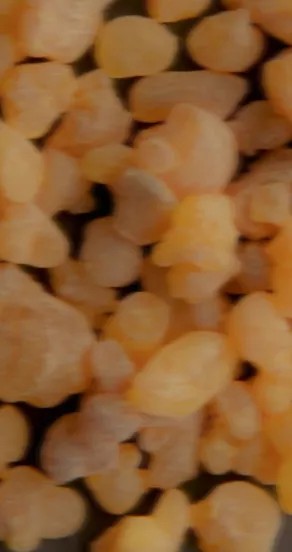 Spray Perfume - Paradox In A Bottle, 15ml, 50ml