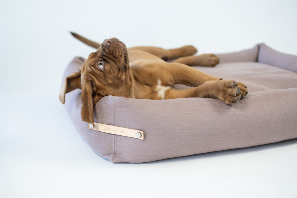 Stokke Dog Bed - Pink - Organic LifestyleStokke Dog Bed - PinkStokke Dog Bed - Pink LabbvennOrganic Lifestyle5907614620332S