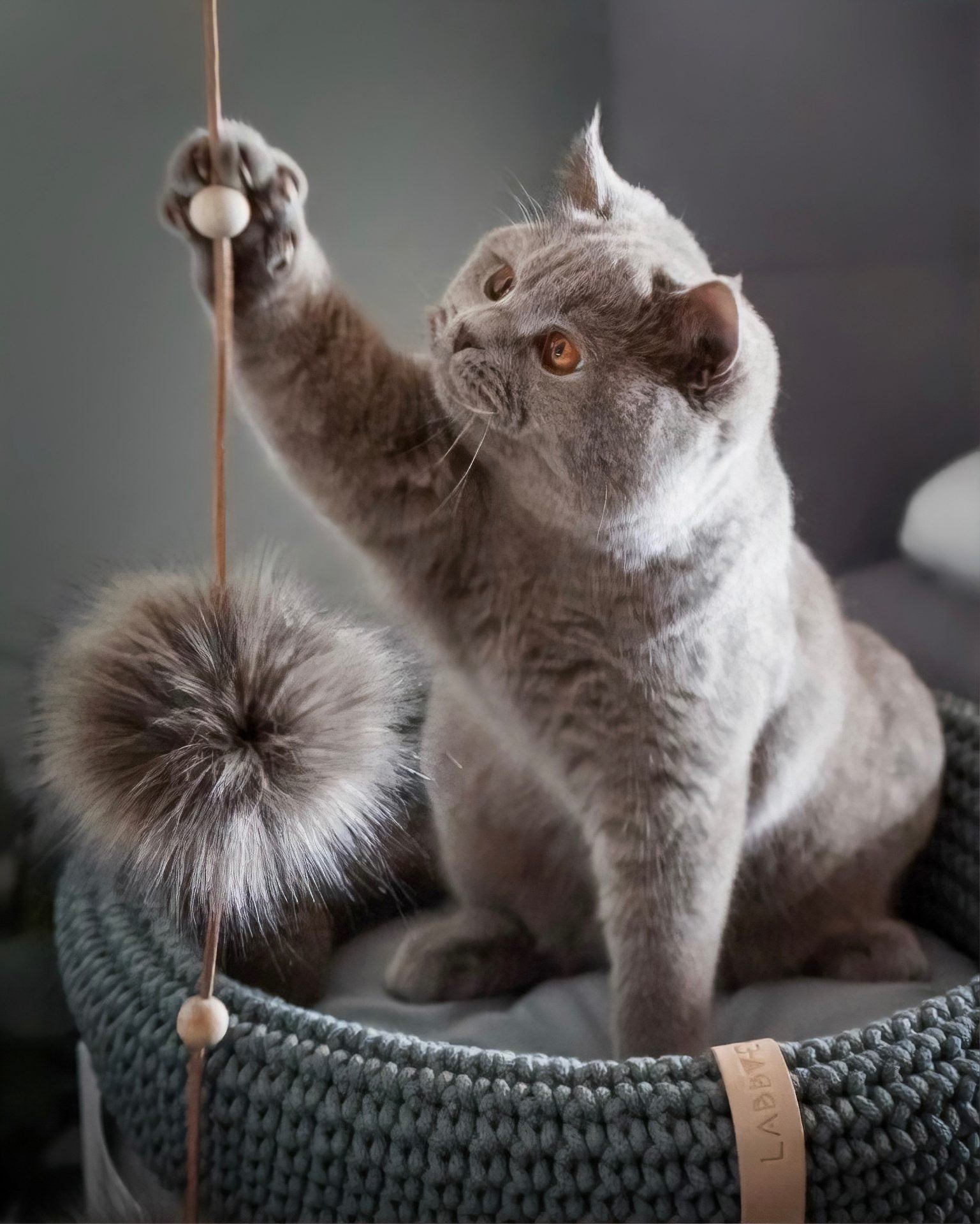 Tollo Cat Toy - Anthracite - Organic LifestyleTollo Cat Toy - AnthraciteTollo Cat Toy - Anthracite LabbvennOrganic Lifestyle5907614620738