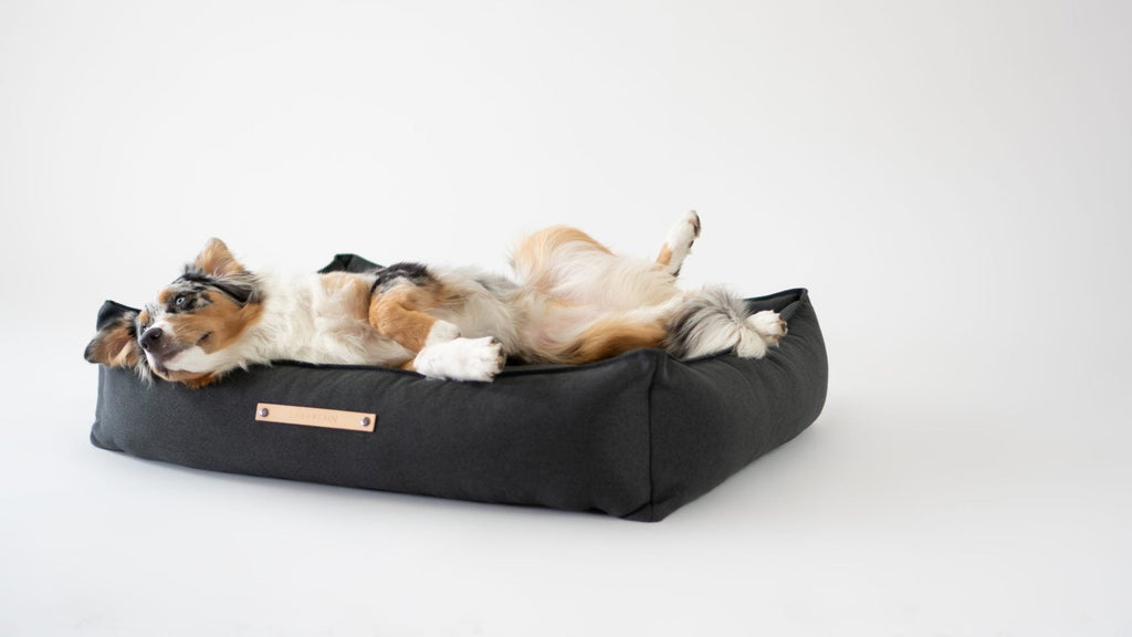 Töve Dog Bed - Anthracite - Organic LifestyleTöve Dog Bed - AnthraciteTöve Dog Bed - Anthracite LabbvennOrganic Lifestyle5907694930253S