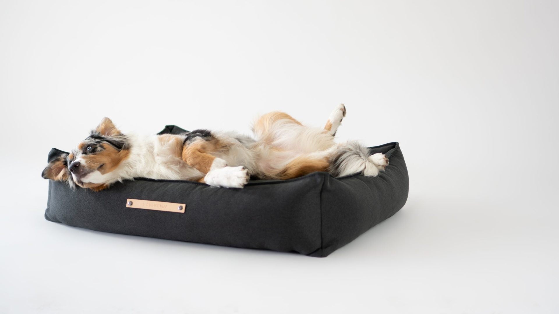 Töve Dog Bed - Anthracite - Organic LifestyleTöve Dog Bed - AnthraciteTöve Dog Bed - Anthracite LabbvennOrganic Lifestyle5907694930253S