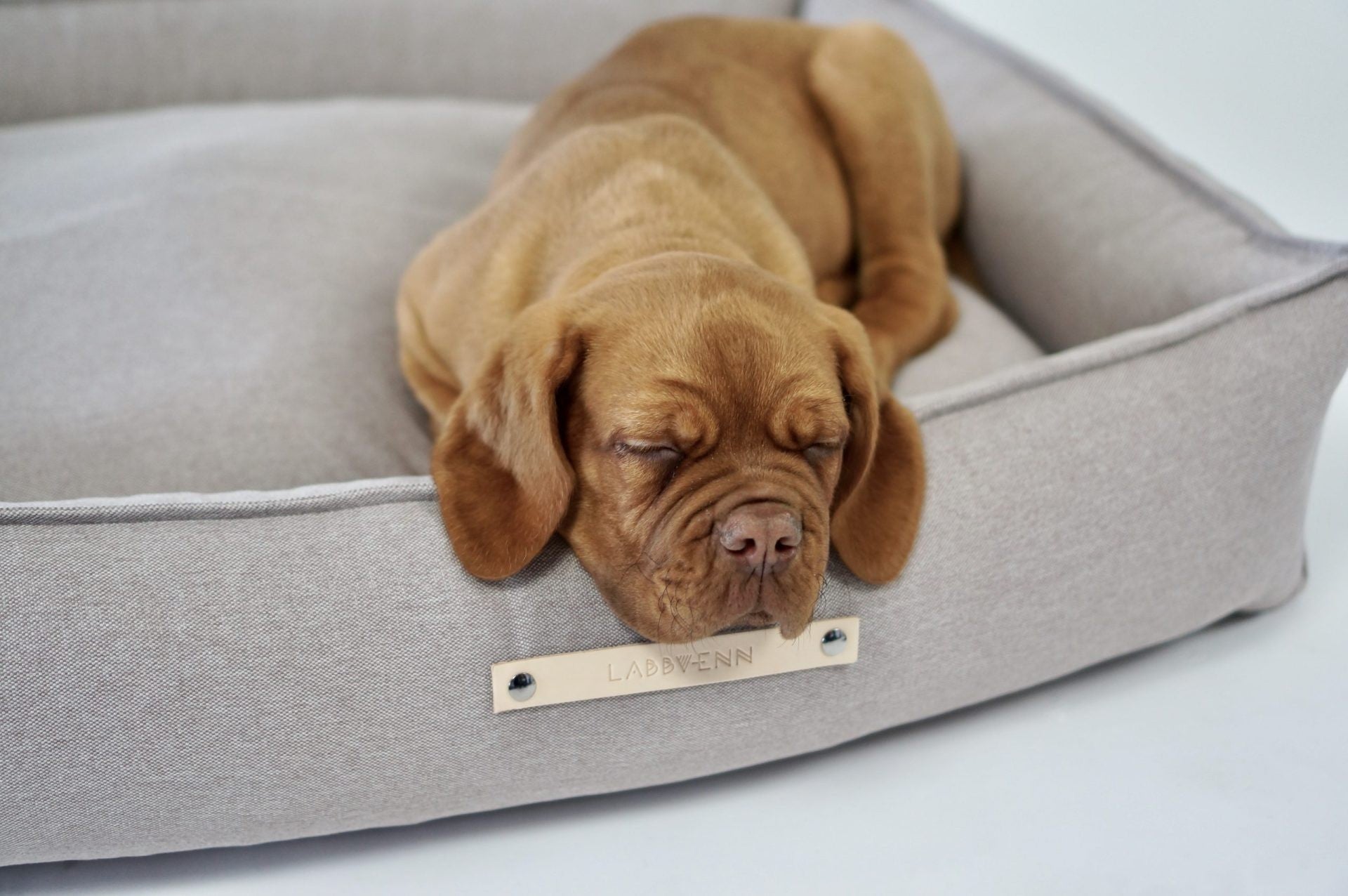 Töve Dog Bed - Nut - Organic LifestyleTöve Dog Bed - NutTöve Dog Bed - Nut LabbvennOrganic Lifestyle5907694930284S